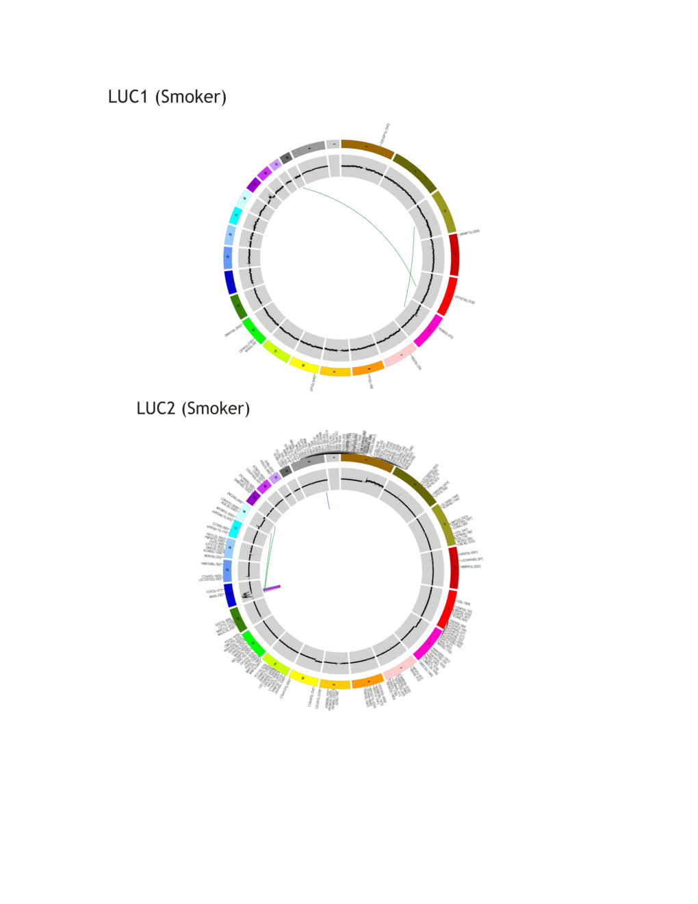 Genomic Landscape of Non-Small Cell Lung Cancer in Smokers and Never-Smokers