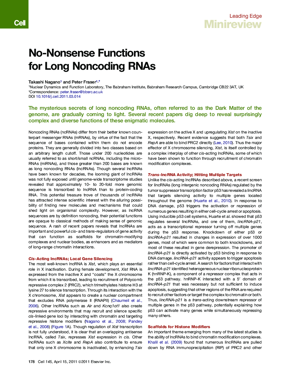 No-Nonsense Functions for Long Noncoding RNAs