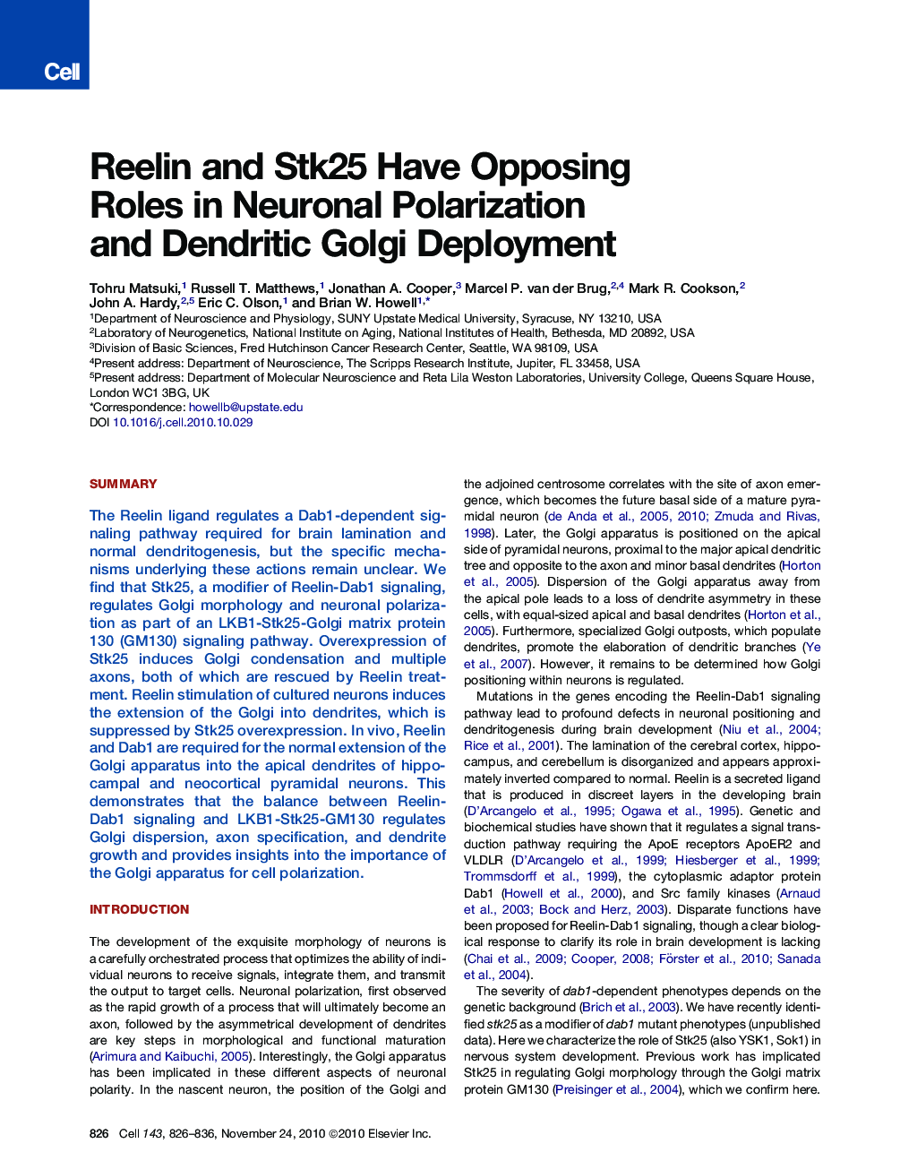 Reelin and Stk25 Have Opposing Roles in Neuronal Polarization and Dendritic Golgi Deployment