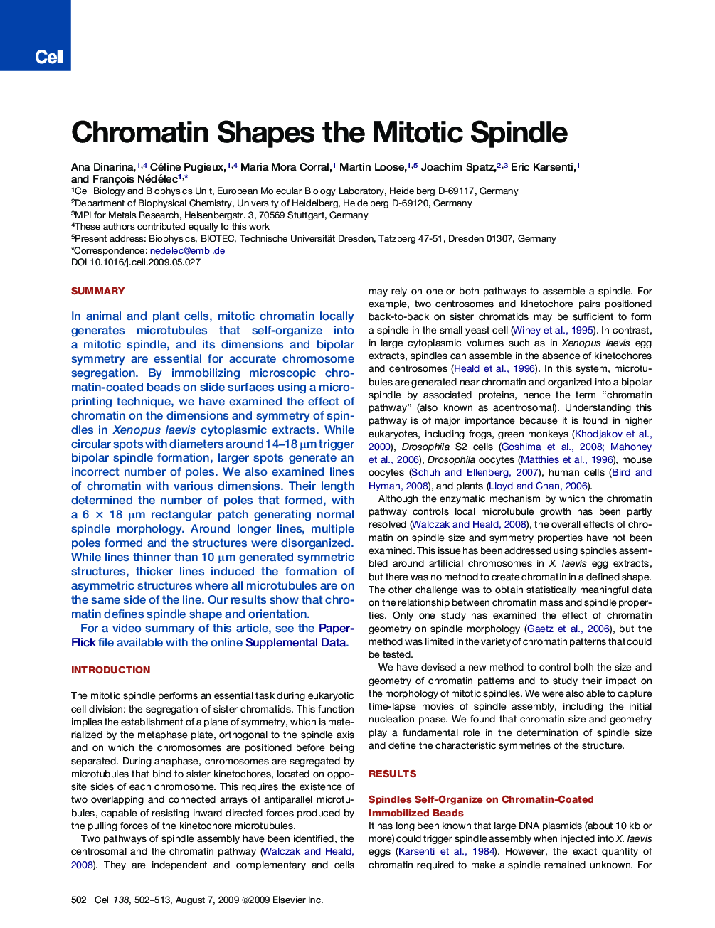 Chromatin Shapes the Mitotic Spindle