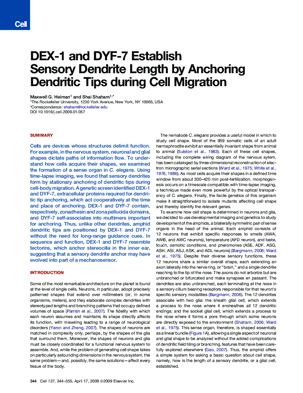 DEX-1 and DYF-7 Establish Sensory Dendrite Length by Anchoring Dendritic Tips during Cell Migration