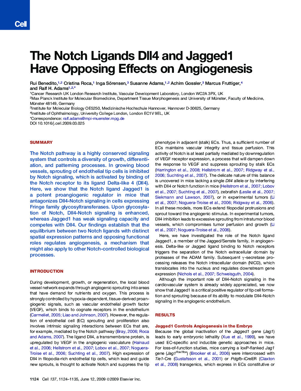 The Notch Ligands Dll4 and Jagged1 Have Opposing Effects on Angiogenesis