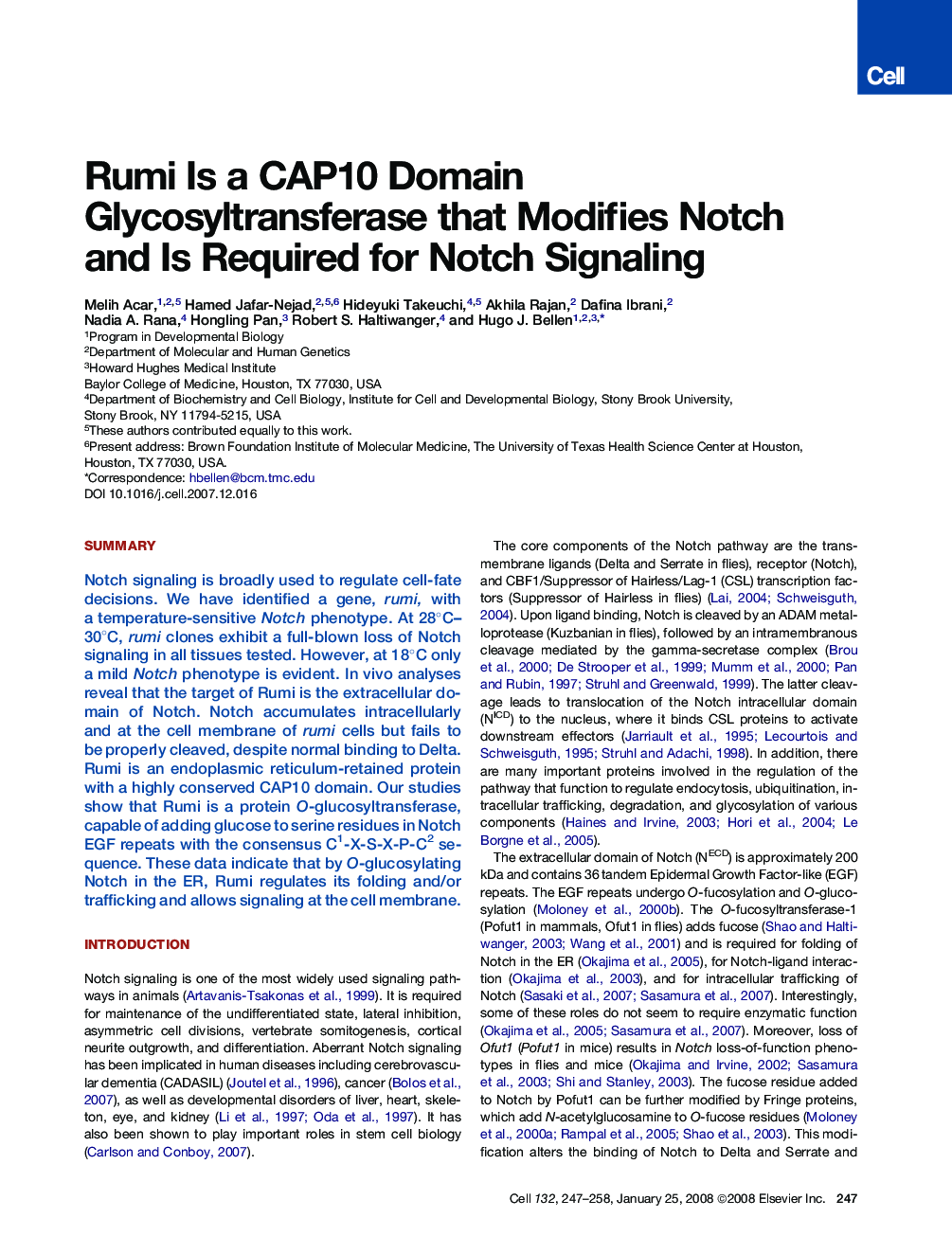 Rumi Is a CAP10 Domain Glycosyltransferase that Modifies Notch and Is Required for Notch Signaling