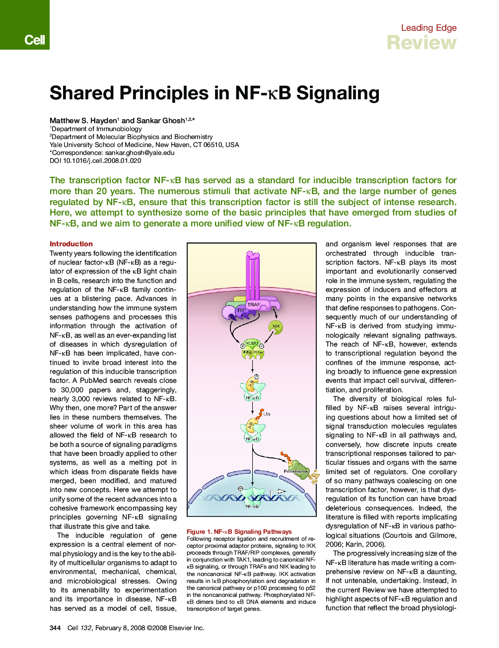 Shared Principles in NF-κB Signaling