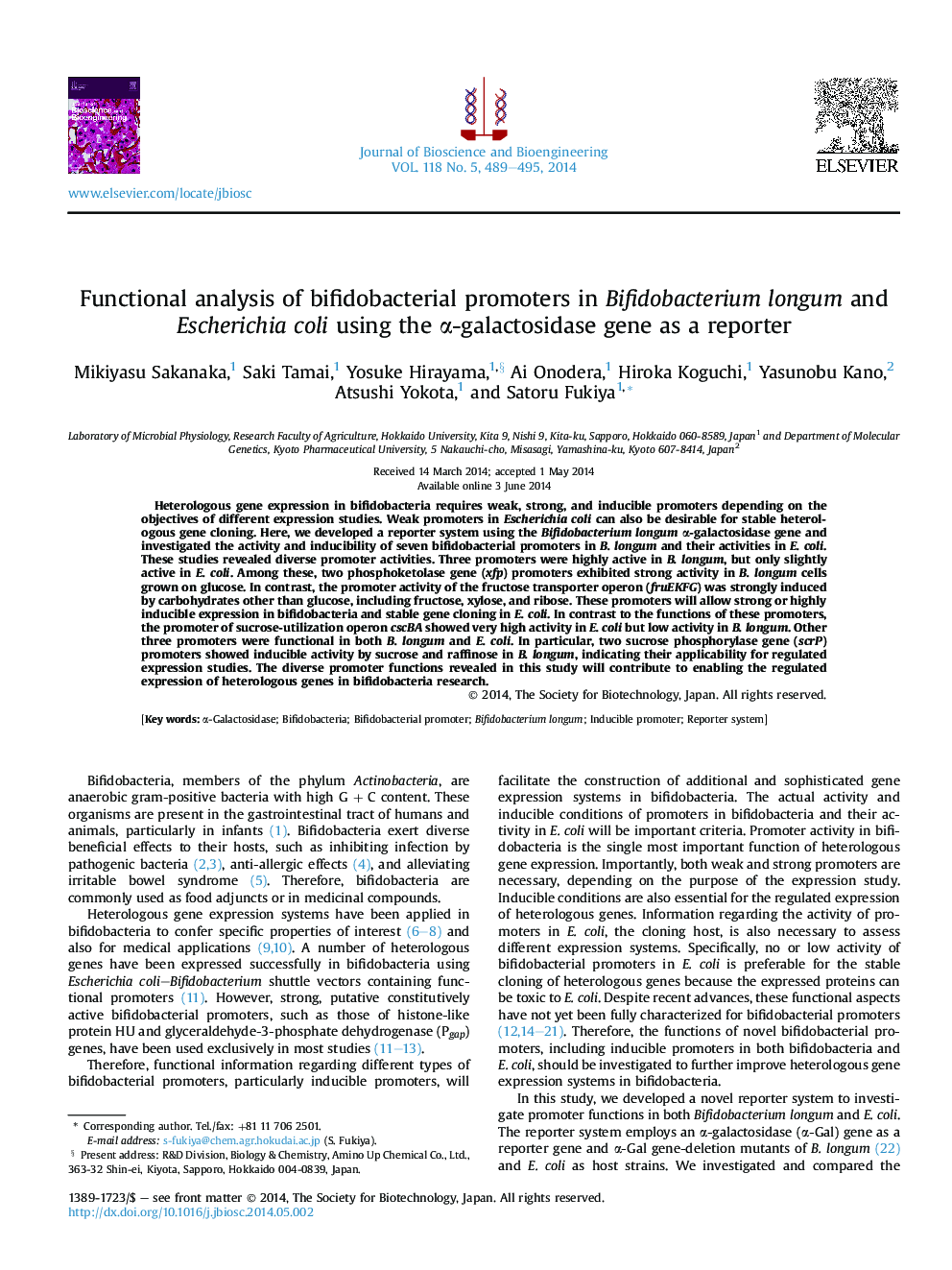 Functional analysis of bifidobacterial promoters in Bifidobacterium longum and Escherichia coli using the α-galactosidase gene as a reporter