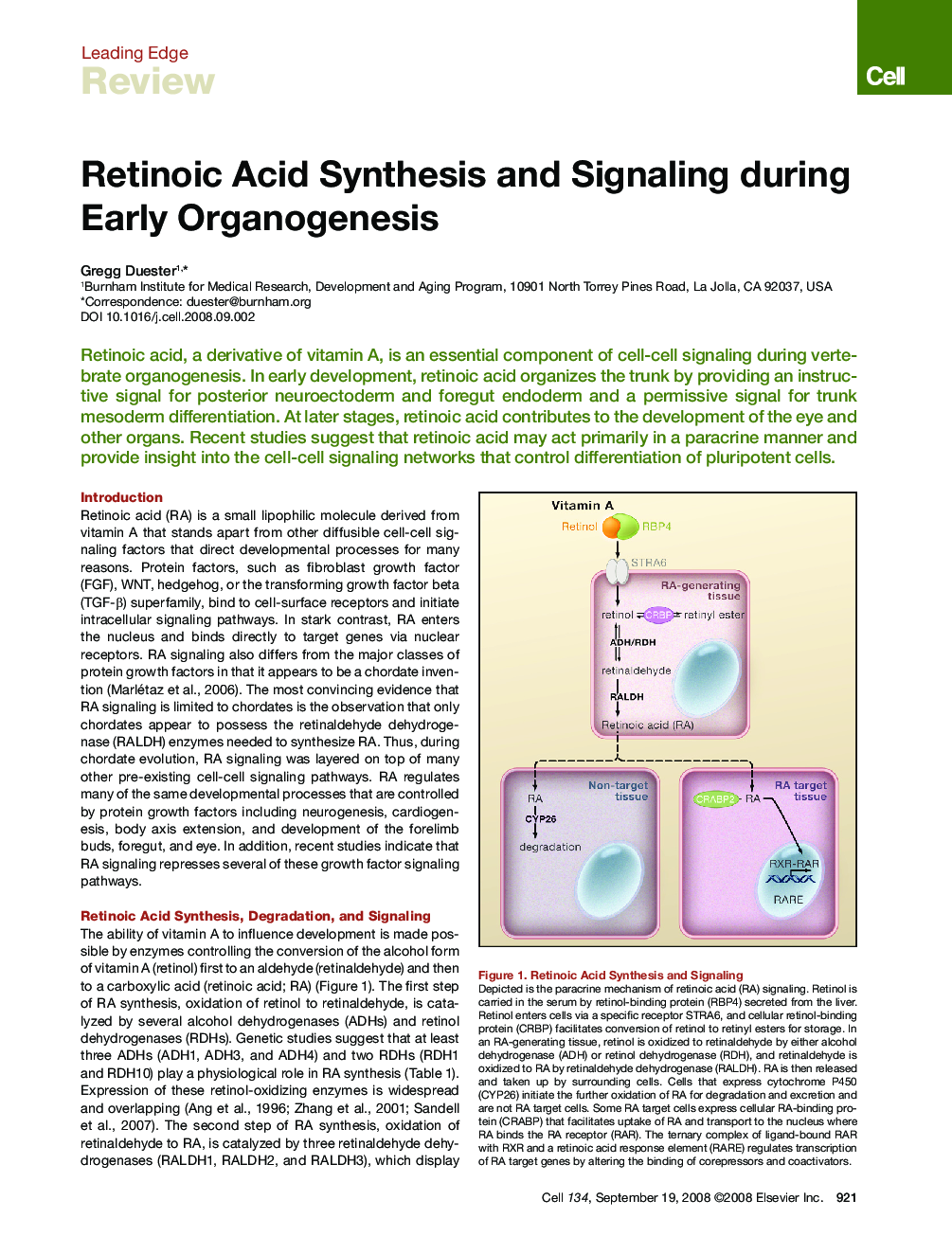 Retinoic Acid Synthesis and Signaling during Early Organogenesis