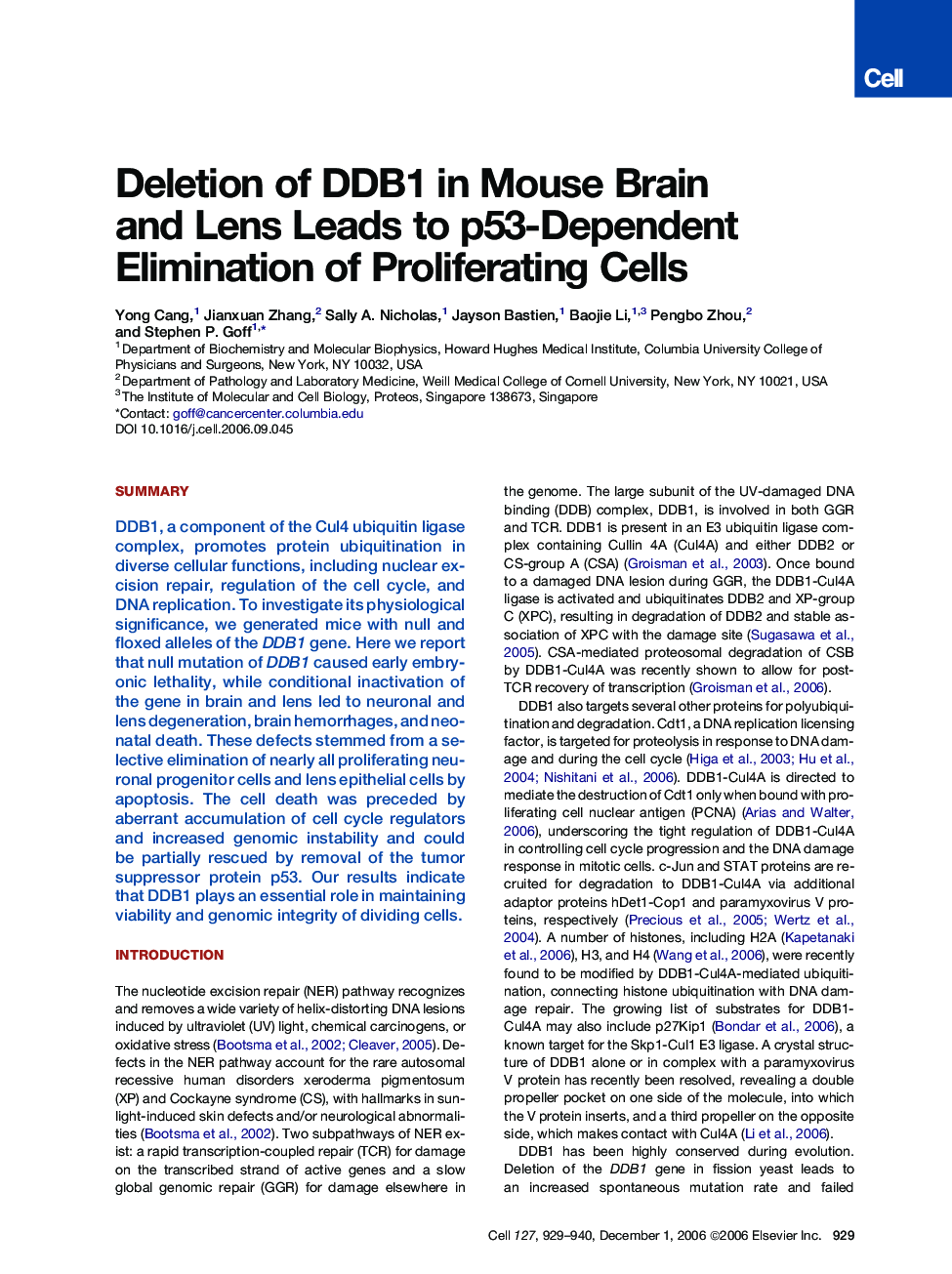 Deletion of DDB1 in Mouse Brain and Lens Leads to p53-Dependent Elimination of Proliferating Cells