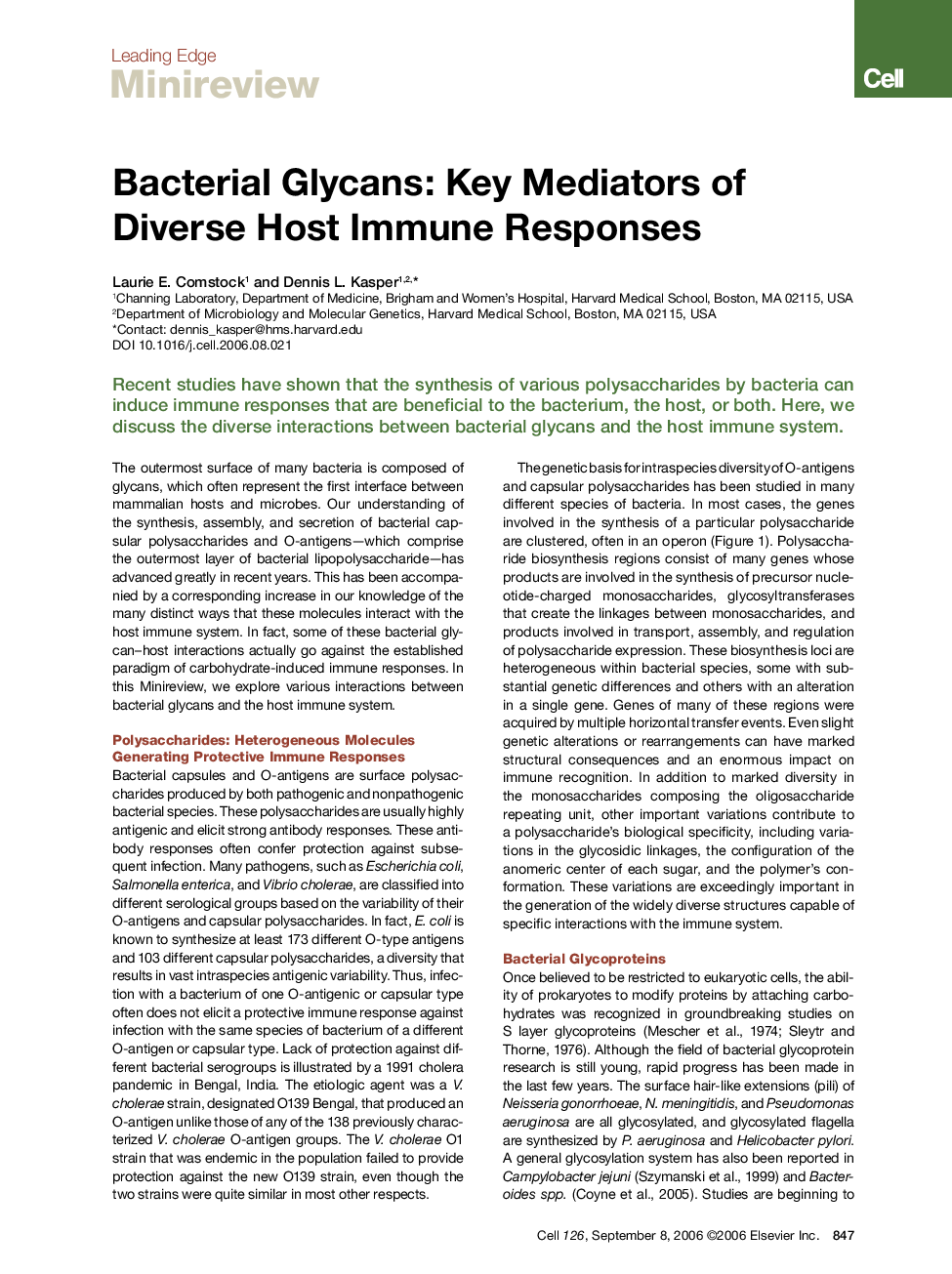 Bacterial Glycans: Key Mediators of Diverse Host Immune Responses