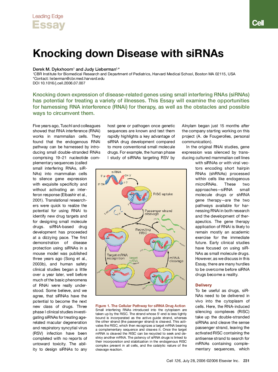 Knocking down Disease with siRNAs