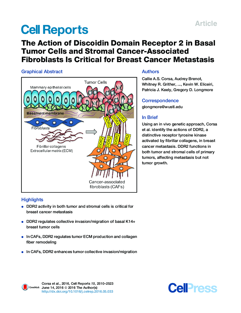 The Action of Discoidin Domain Receptor 2 in Basal Tumor Cells and Stromal Cancer-Associated Fibroblasts Is Critical for Breast Cancer Metastasis