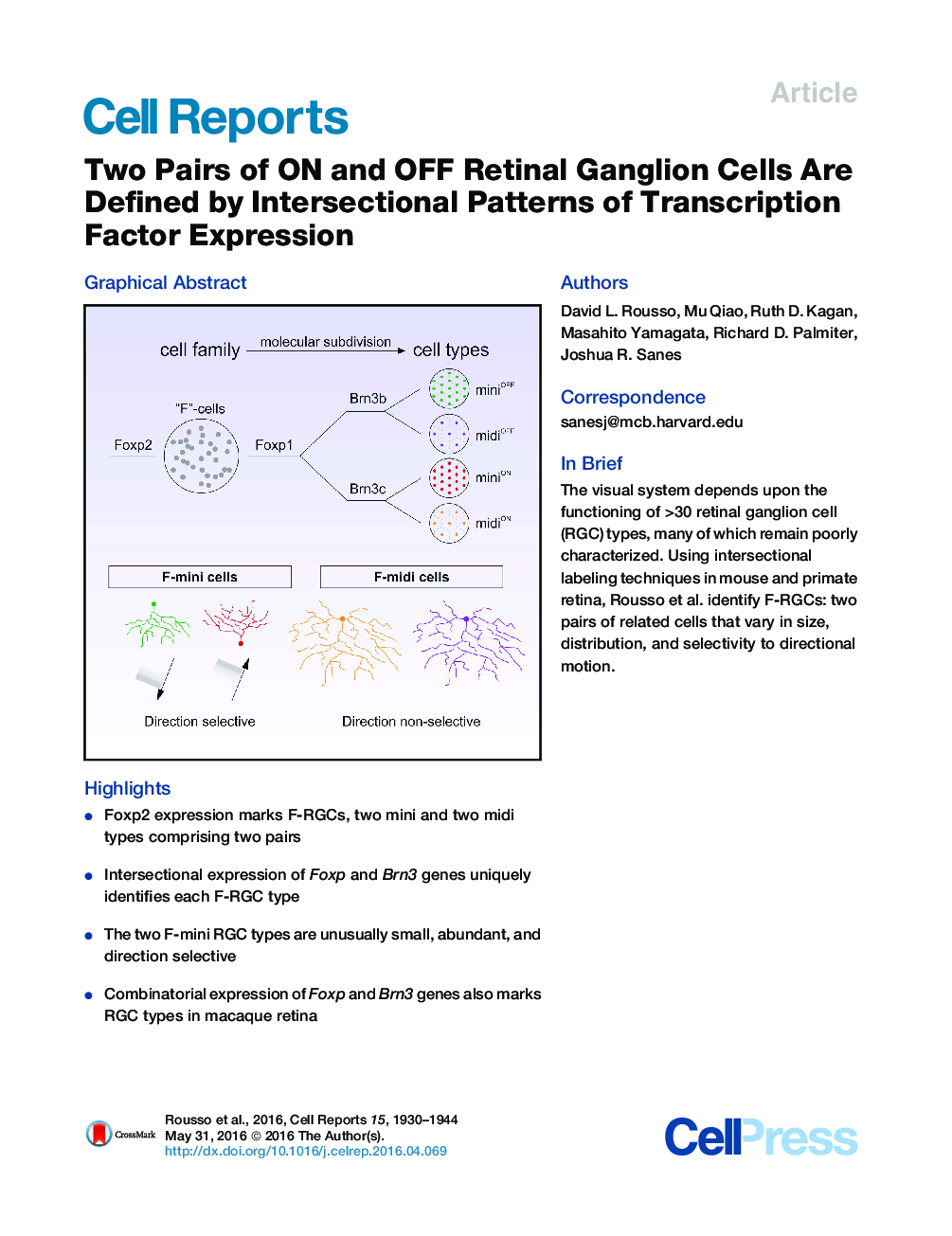 Two Pairs of ON and OFF Retinal Ganglion Cells Are Defined by Intersectional Patterns of Transcription Factor Expression