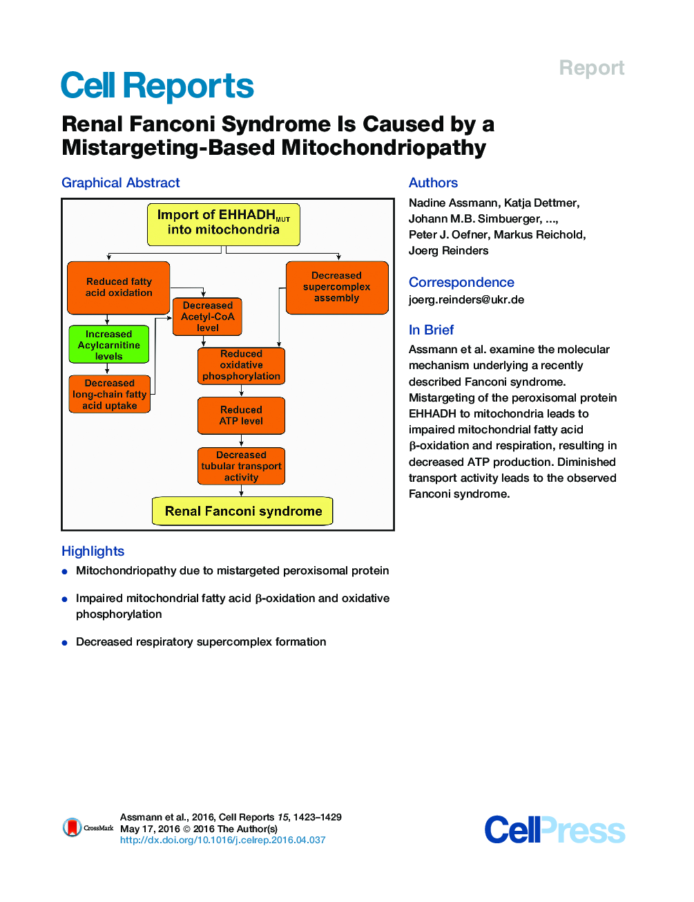 Renal Fanconi Syndrome Is Caused by a Mistargeting-Based Mitochondriopathy