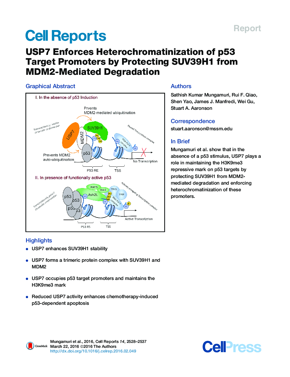 USP7 Enforces Heterochromatinization of p53 Target Promoters by Protecting SUV39H1 from MDM2-Mediated Degradation 