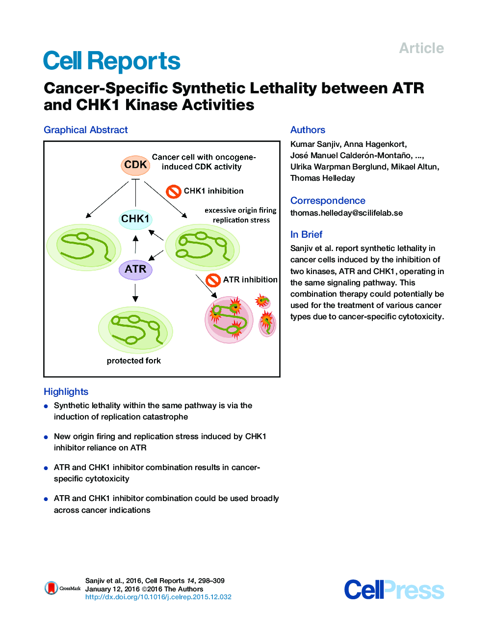 Cancer-Specific Synthetic Lethality between ATR and CHK1 Kinase Activities 