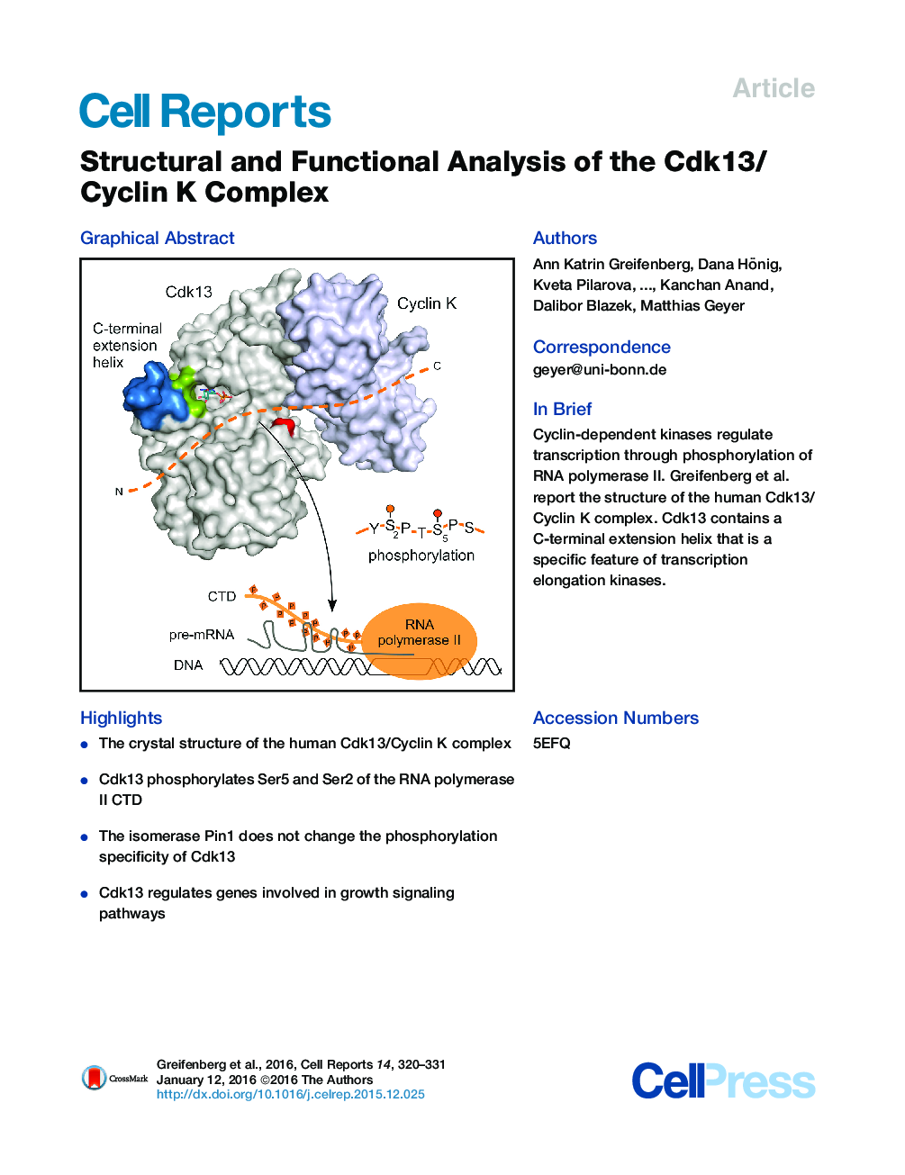 Structural and Functional Analysis of the Cdk13/Cyclin K Complex 