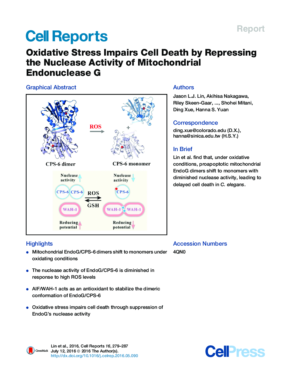 Oxidative Stress Impairs Cell Death by Repressing the Nuclease Activity of Mitochondrial Endonuclease G