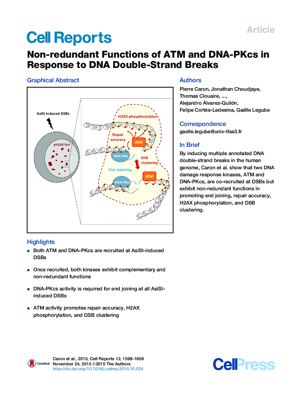 Non-redundant Functions of ATM and DNA-PKcs in Response to DNA Double-Strand Breaks 