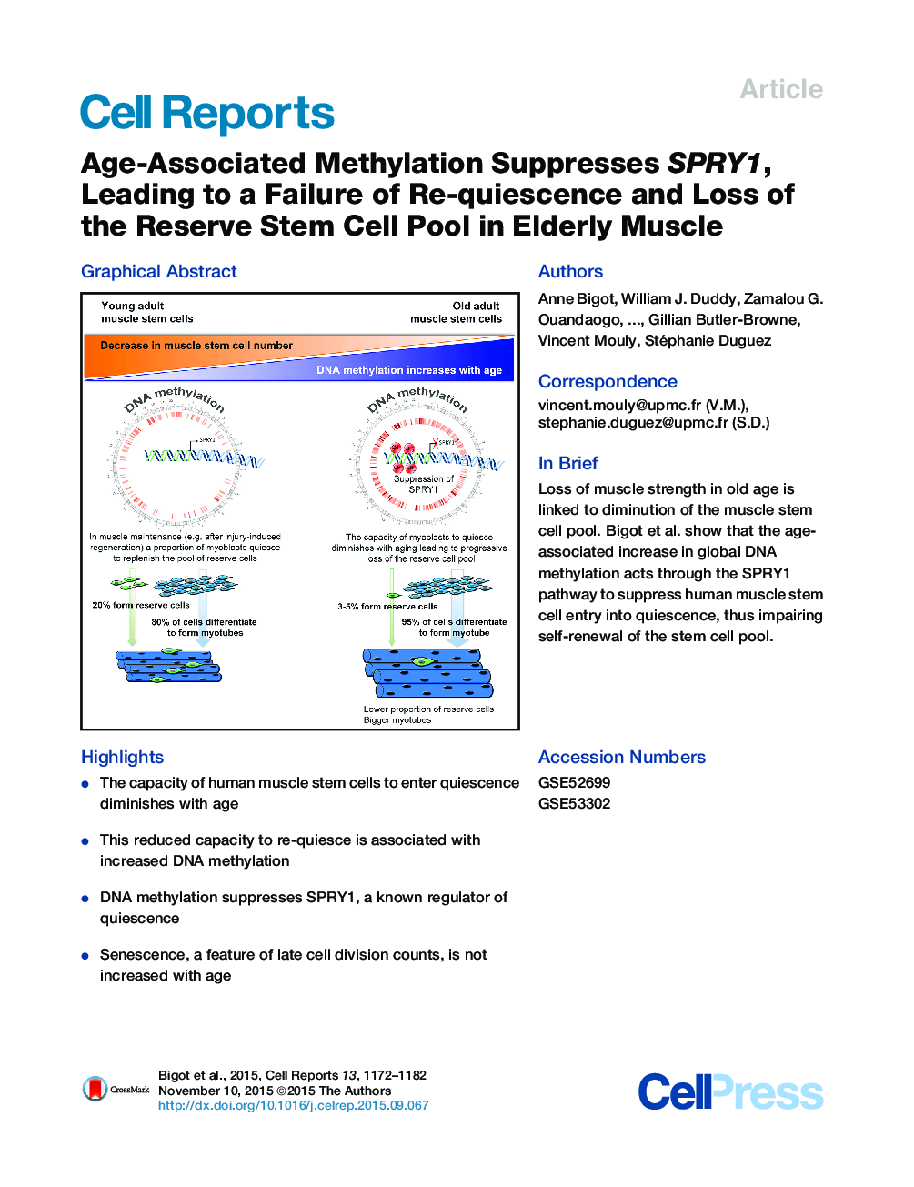 Age-Associated Methylation Suppresses SPRY1, Leading to a Failure of Re-quiescence and Loss of the Reserve Stem Cell Pool in Elderly Muscle 