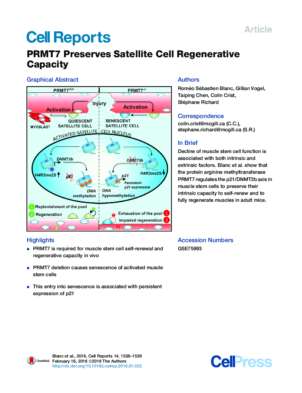 PRMT7 Preserves Satellite Cell Regenerative Capacity 
