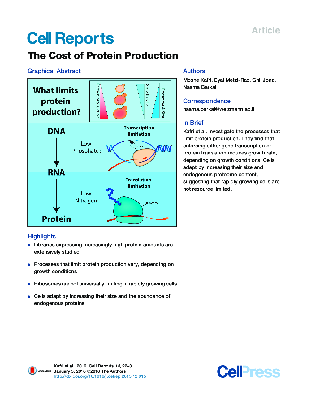 هزینه تولید پروتئین 