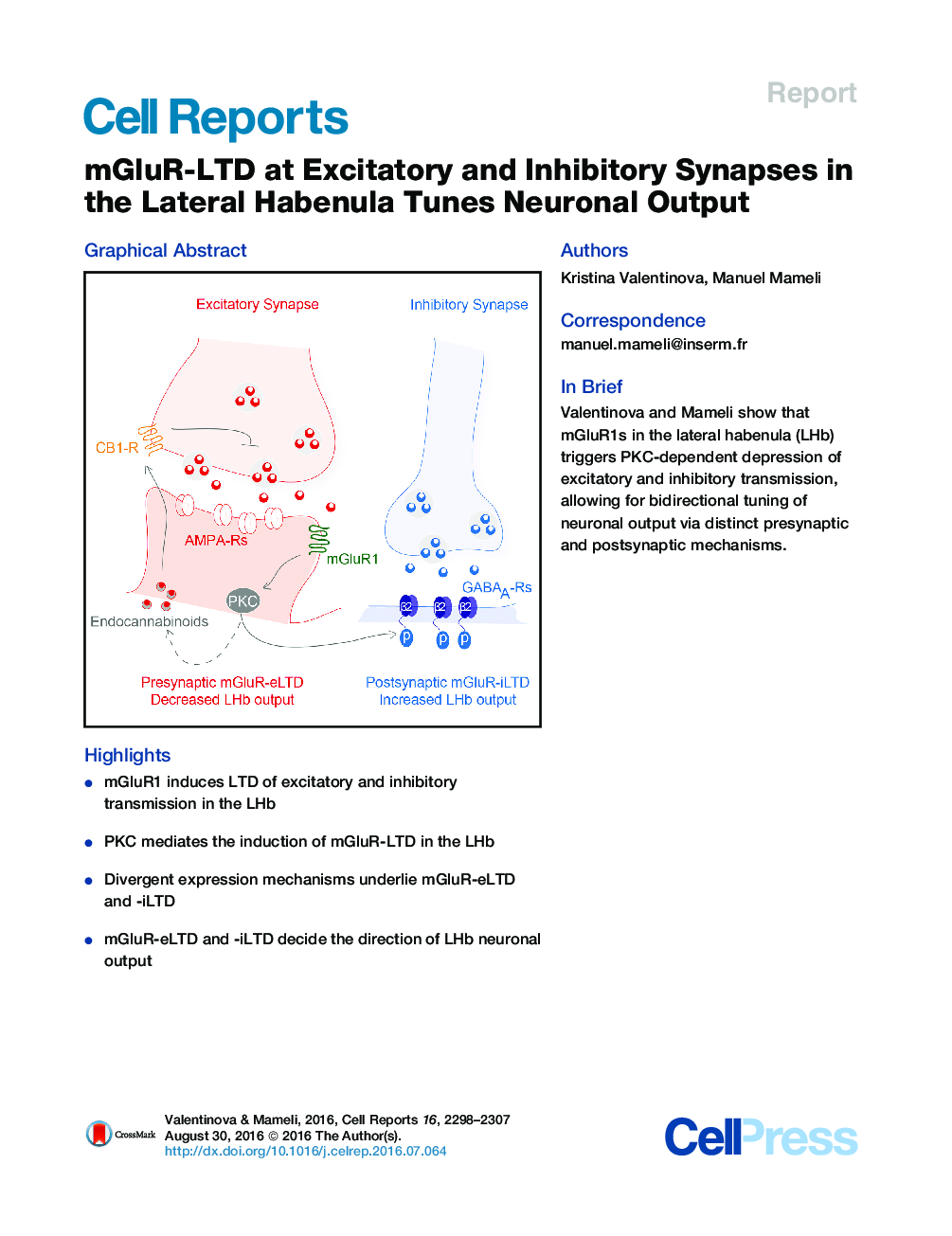 mGluR-LTD at Excitatory and Inhibitory Synapses in the Lateral Habenula Tunes Neuronal Output