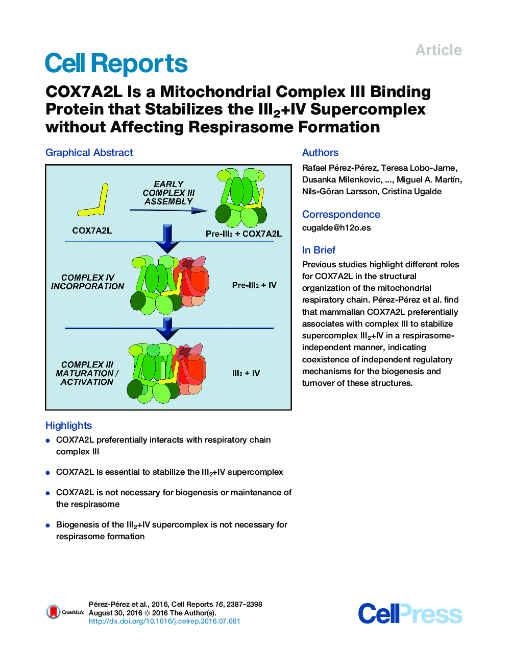 COX7A2L Is a Mitochondrial Complex III Binding Protein that Stabilizes the III2+IV Supercomplex without Affecting Respirasome Formation