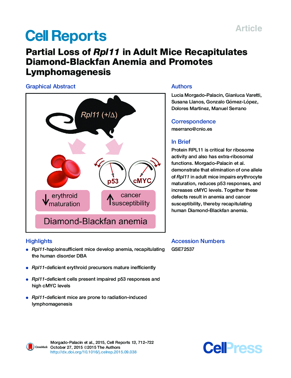 Partial Loss of Rpl11 in Adult Mice Recapitulates Diamond-Blackfan Anemia and Promotes Lymphomagenesis 