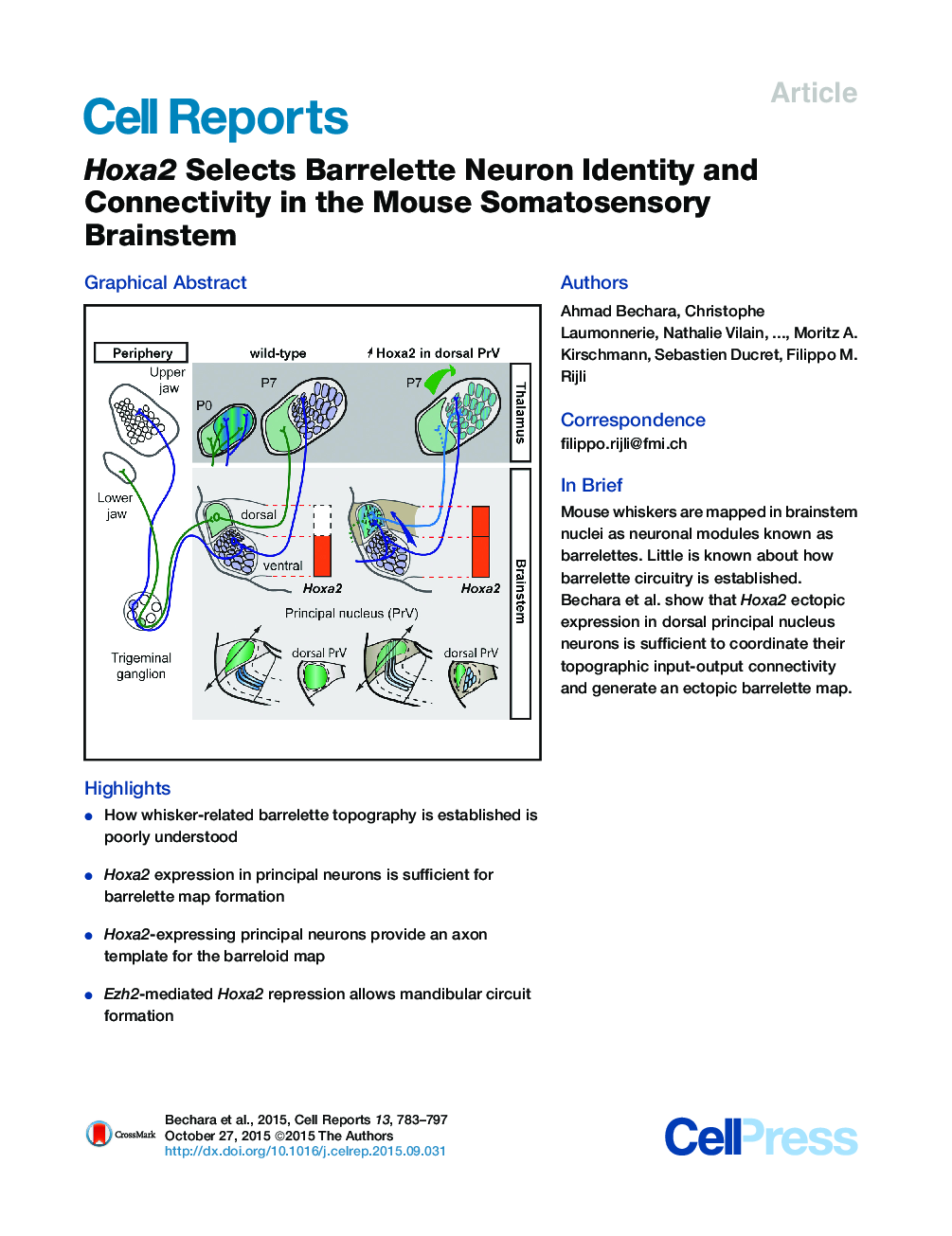 Hoxa2 Selects Barrelette Neuron Identity and Connectivity in the Mouse Somatosensory Brainstem 