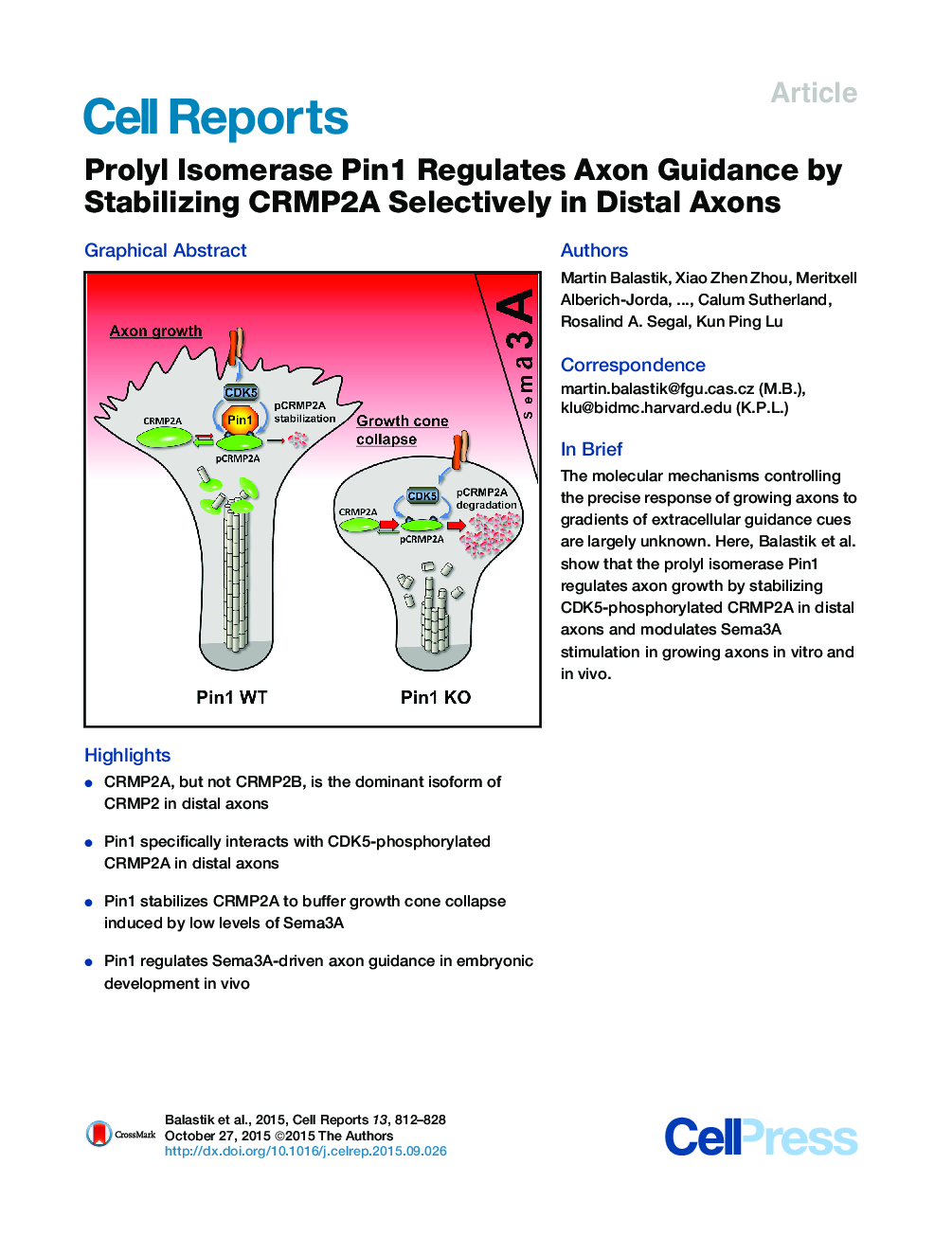 Prolyl Isomerase Pin1 Regulates Axon Guidance by Stabilizing CRMP2A Selectively in Distal Axons 