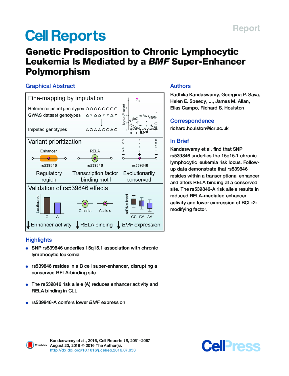Genetic Predisposition to Chronic Lymphocytic Leukemia Is Mediated by a BMF Super-Enhancer Polymorphism