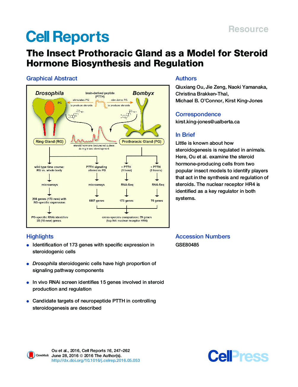 The Insect Prothoracic Gland as a Model for Steroid Hormone Biosynthesis and Regulation