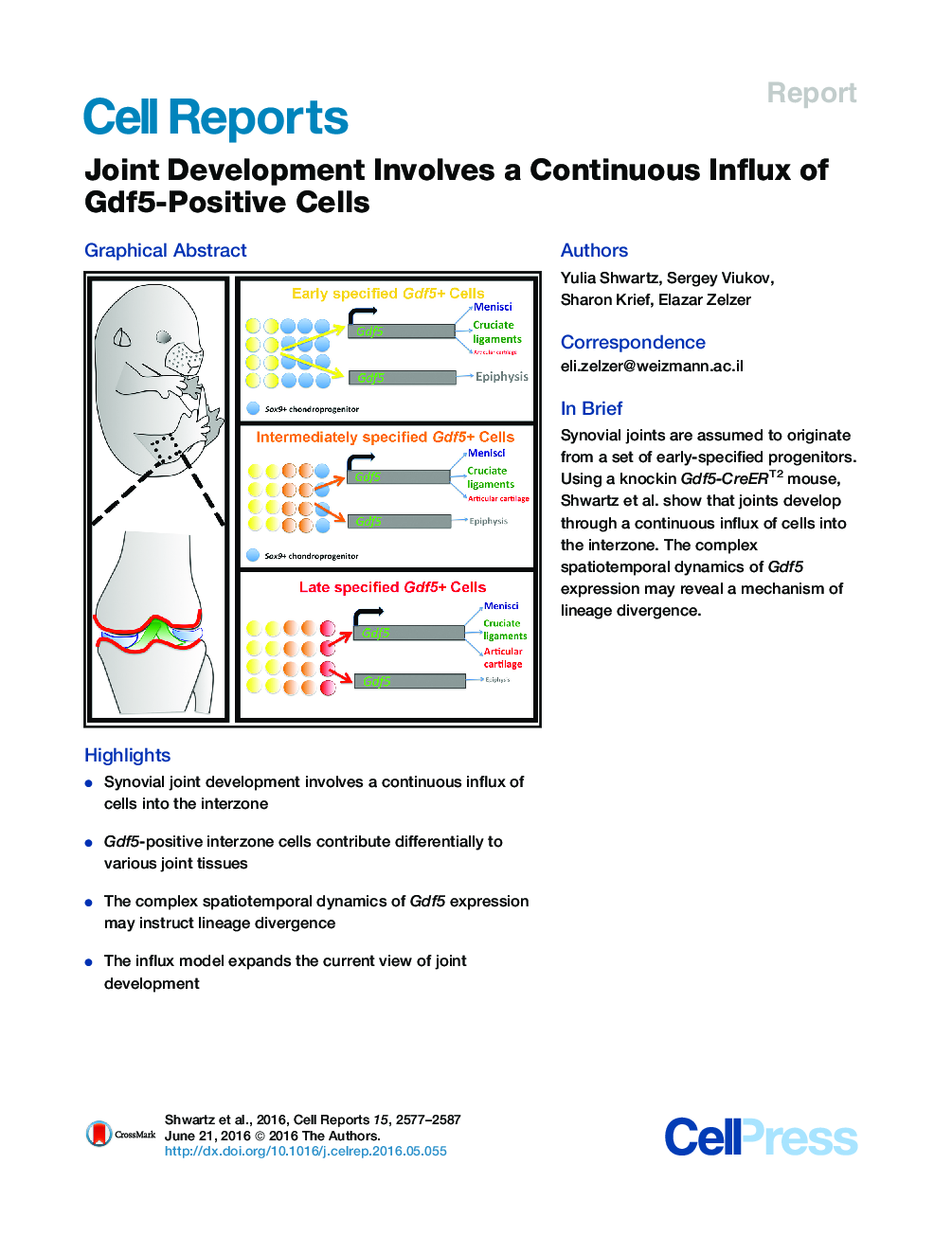 Joint Development Involves a Continuous Influx of Gdf5-Positive Cells