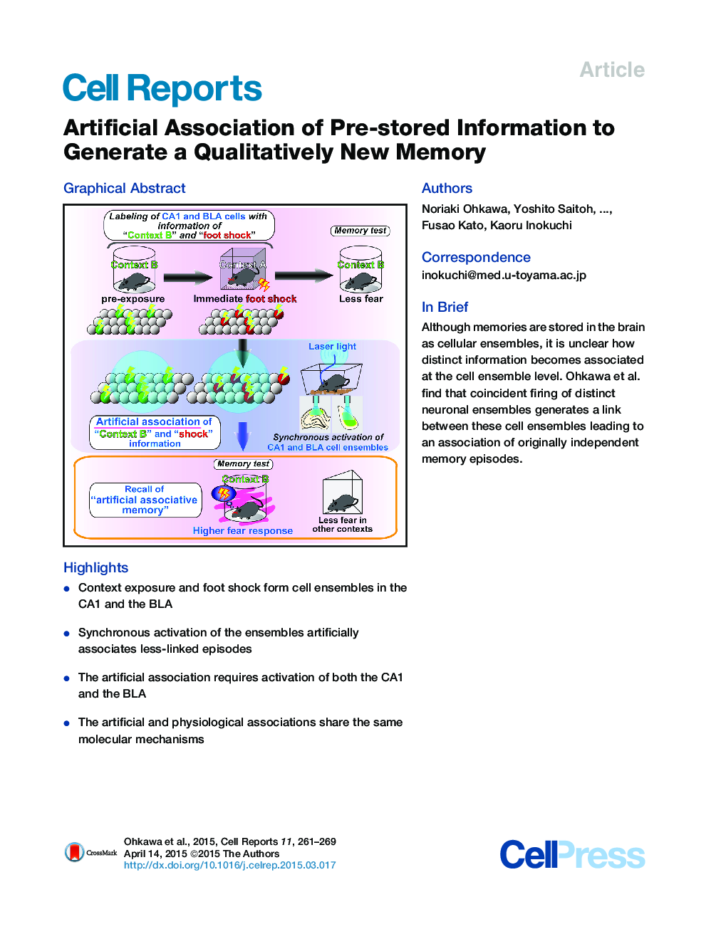 Artificial Association of Pre-stored Information to Generate a Qualitatively New Memory 