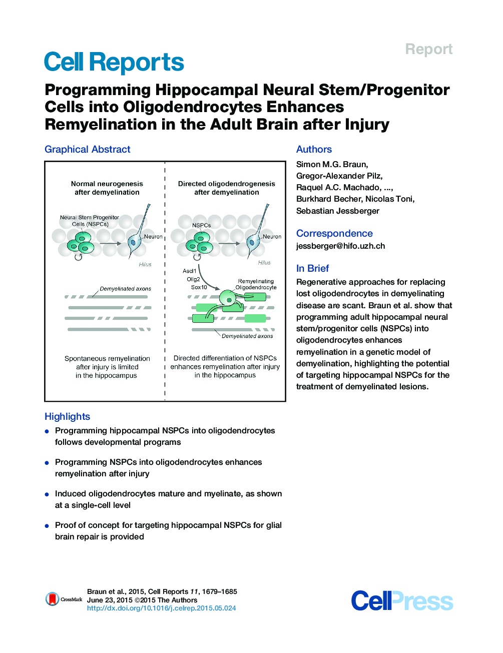برنامه ریزی سلولهای ساقه / پروتئین عصبی هیپوکامپ در اولیگودندروسسیتها باعث افزایش ریمیلیناسین در مغز بزرگسالان پس از جراحت می شود. 