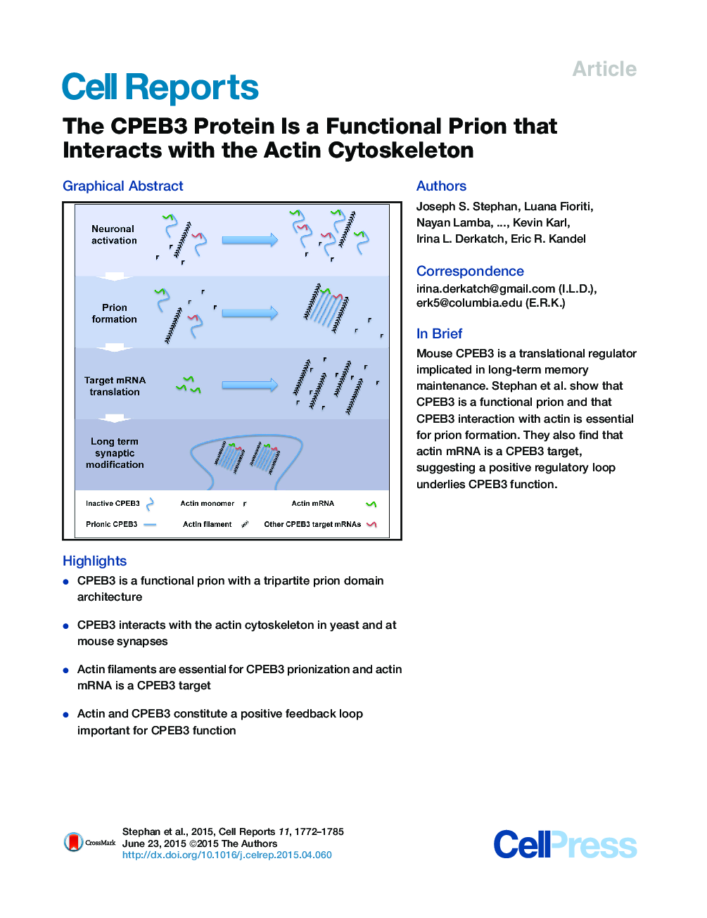 The CPEB3 Protein Is a Functional Prion that Interacts with the Actin Cytoskeleton 