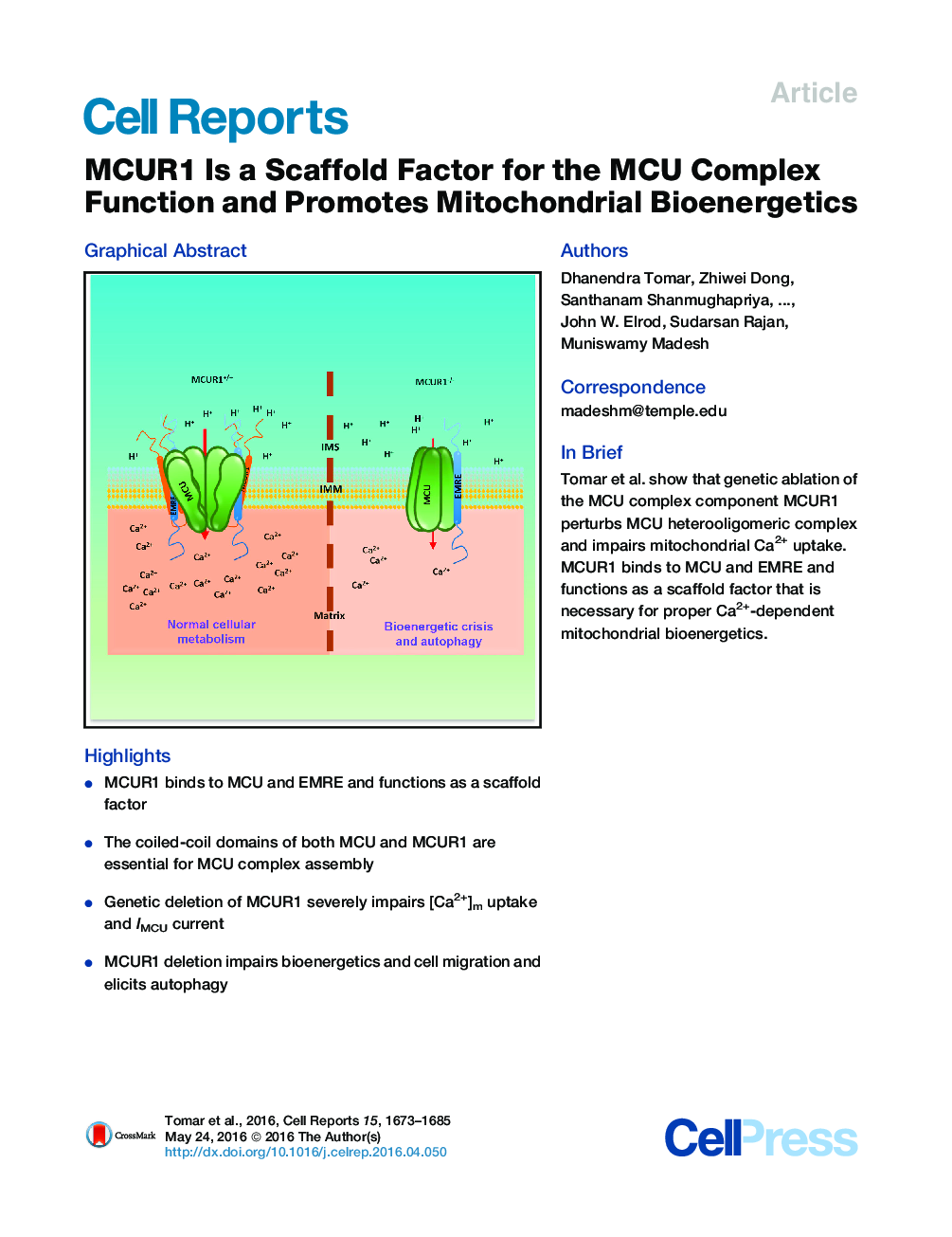 MCUR1 Is a Scaffold Factor for the MCU Complex Function and Promotes Mitochondrial Bioenergetics