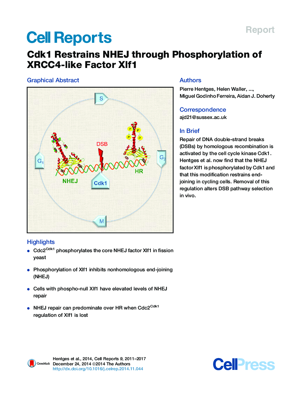 Cdk1 Restrains NHEJ through Phosphorylation of XRCC4-like Factor Xlf1 