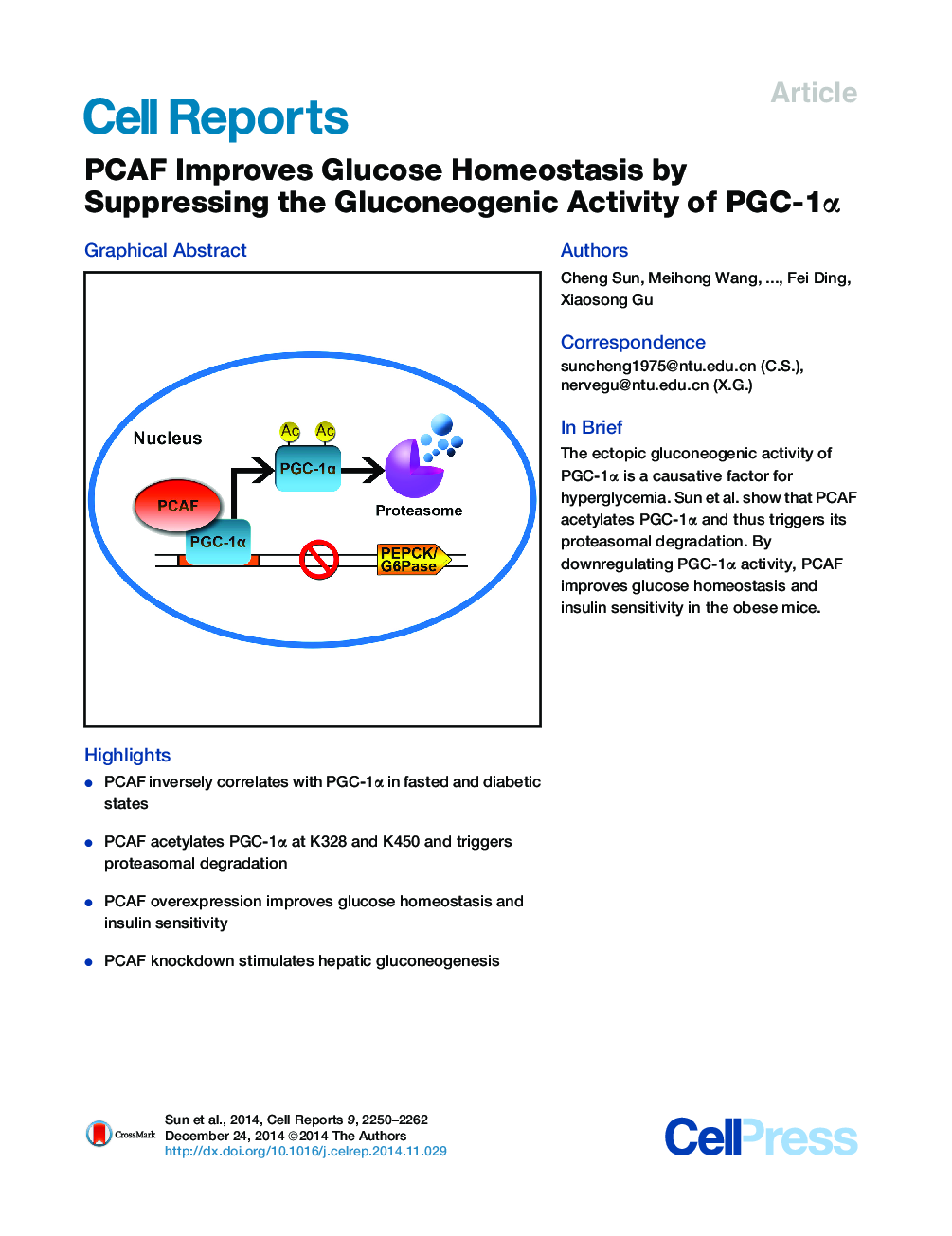 عکس صفحه اول مقاله: PCAF Improves Glucose Homeostasis by Suppressing the Gluconeogenic Activity of PGC-1α PCAF Improves Glucose Homeostasis by Suppressing the Gluconeogenic Activity of PGC-1α
