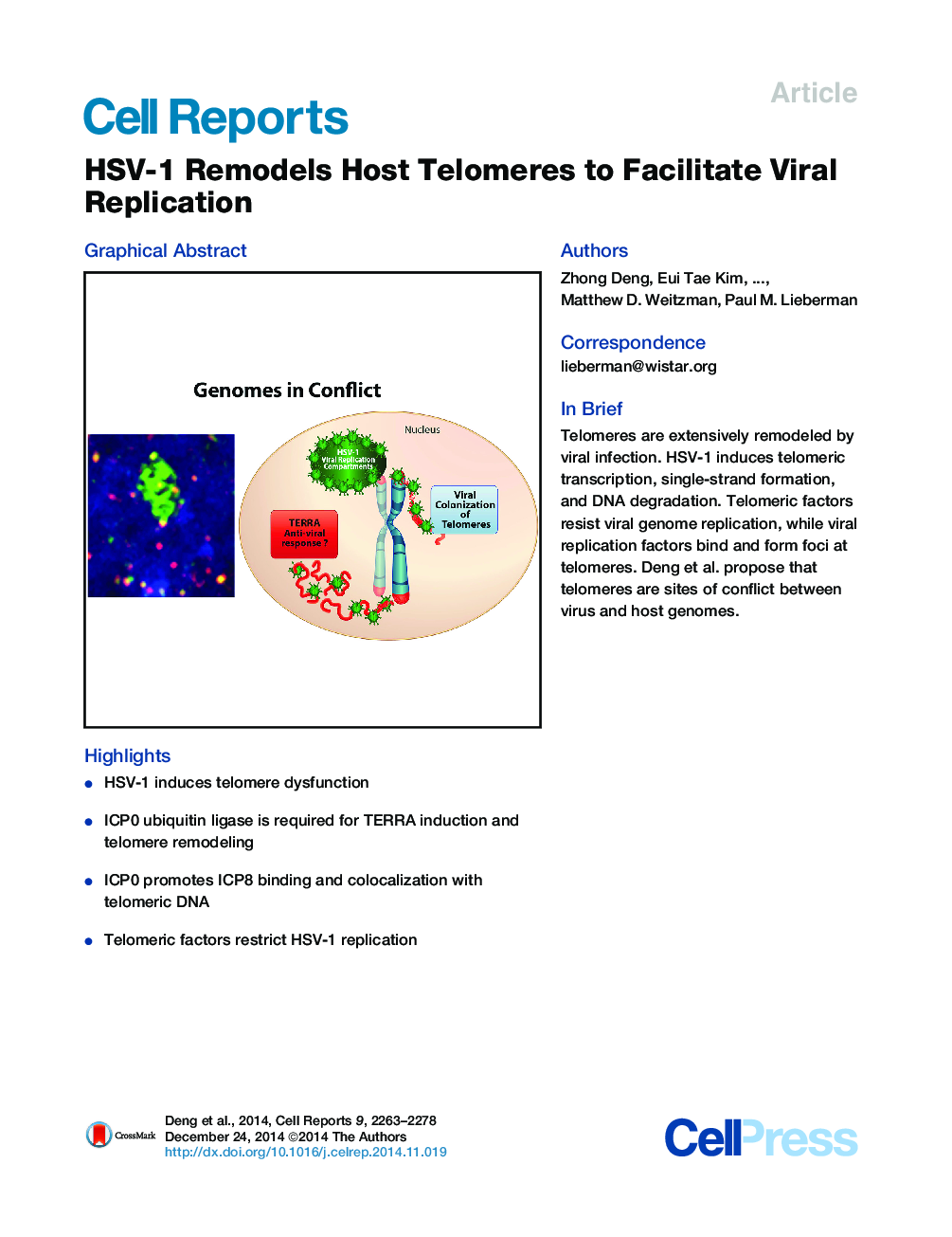 HSV-1 Remodels Host Telomeres to Facilitate Viral Replication 