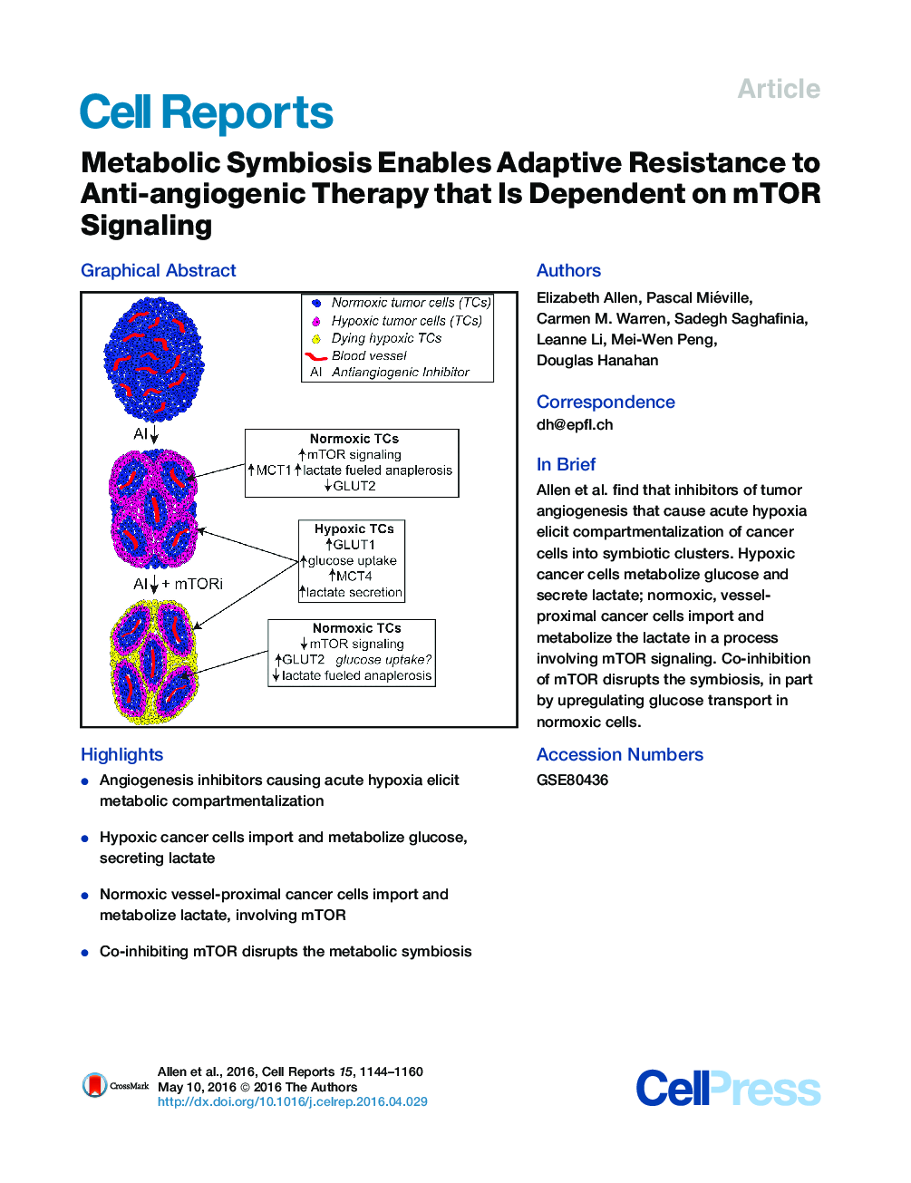 عکس صفحه اول مقاله: Metabolic Symbiosis Enables Adaptive Resistance to Anti-angiogenic Therapy that Is Dependent on mTOR Signaling Metabolic Symbiosis Enables Adaptive Resistance to Anti-angiogenic Therapy that Is Dependent on mTOR Signaling