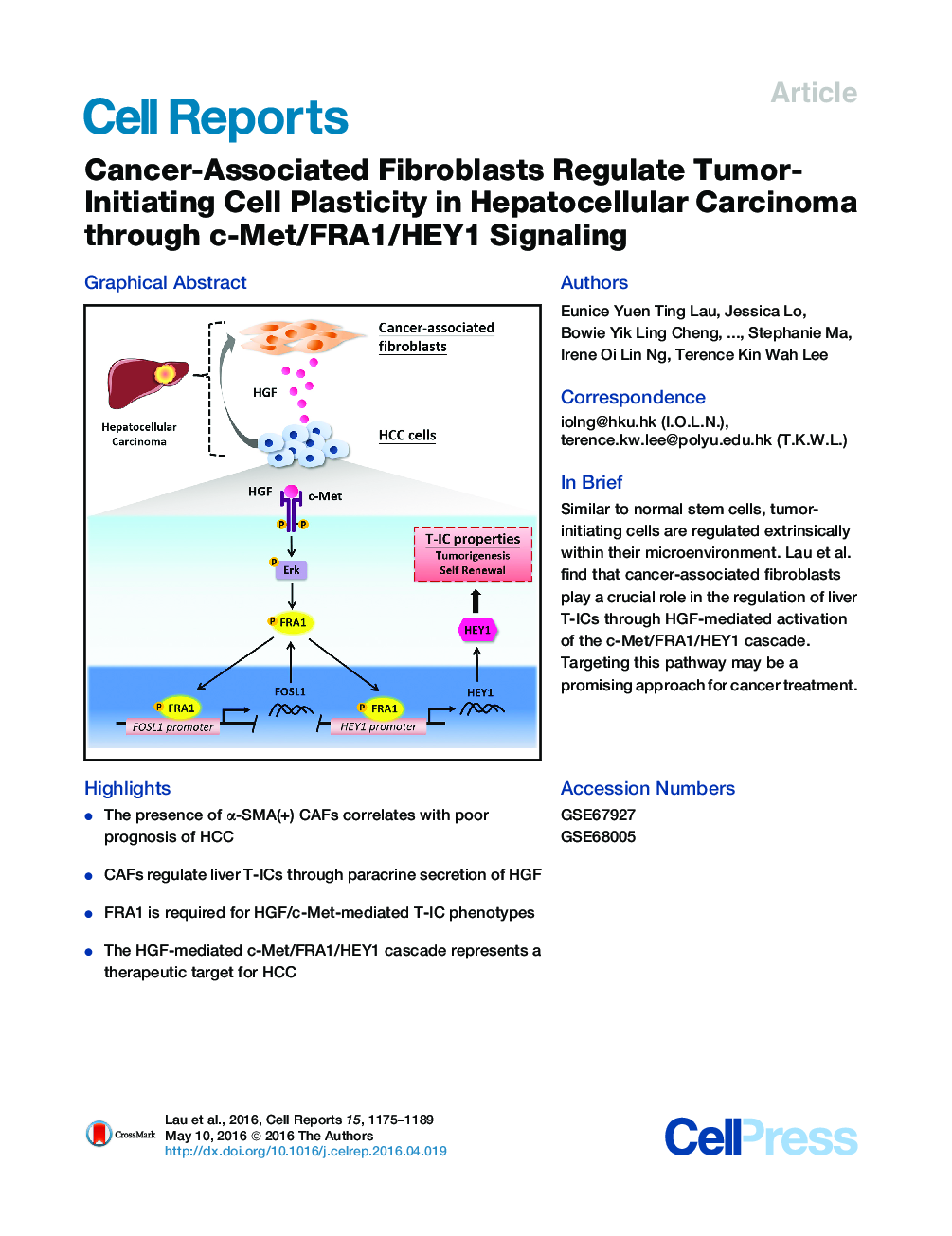 Cancer-Associated Fibroblasts Regulate Tumor-Initiating Cell Plasticity in Hepatocellular Carcinoma through c-Met/FRA1/HEY1 Signaling