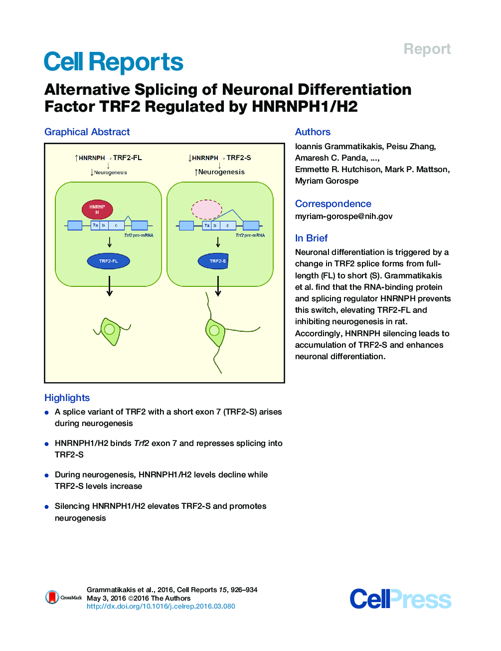 Alternative Splicing of Neuronal Differentiation Factor TRF2 Regulated by HNRNPH1/H2