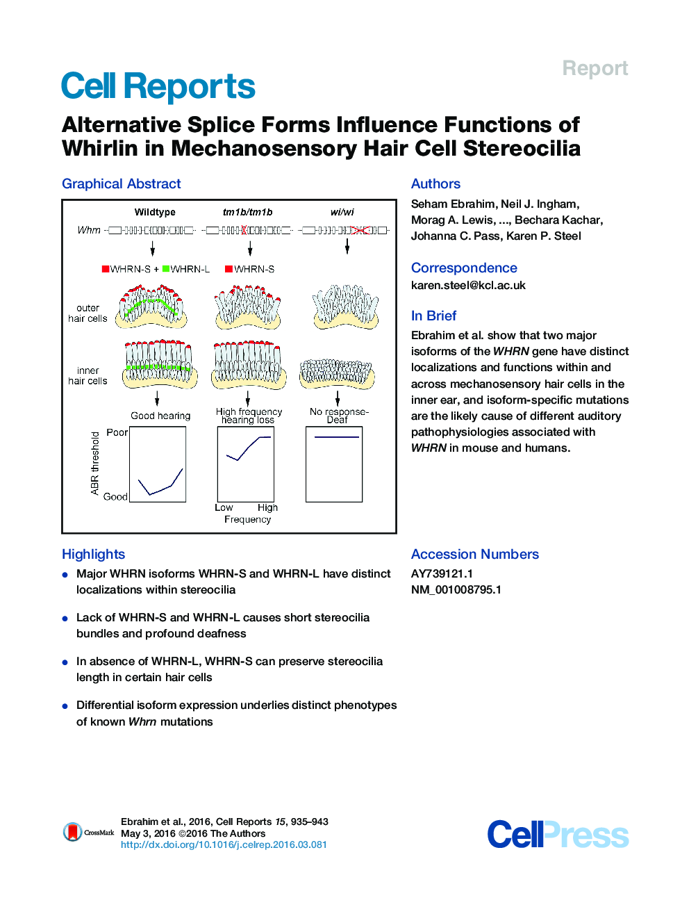 Alternative Splice Forms Influence Functions of Whirlin in Mechanosensory Hair Cell Stereocilia