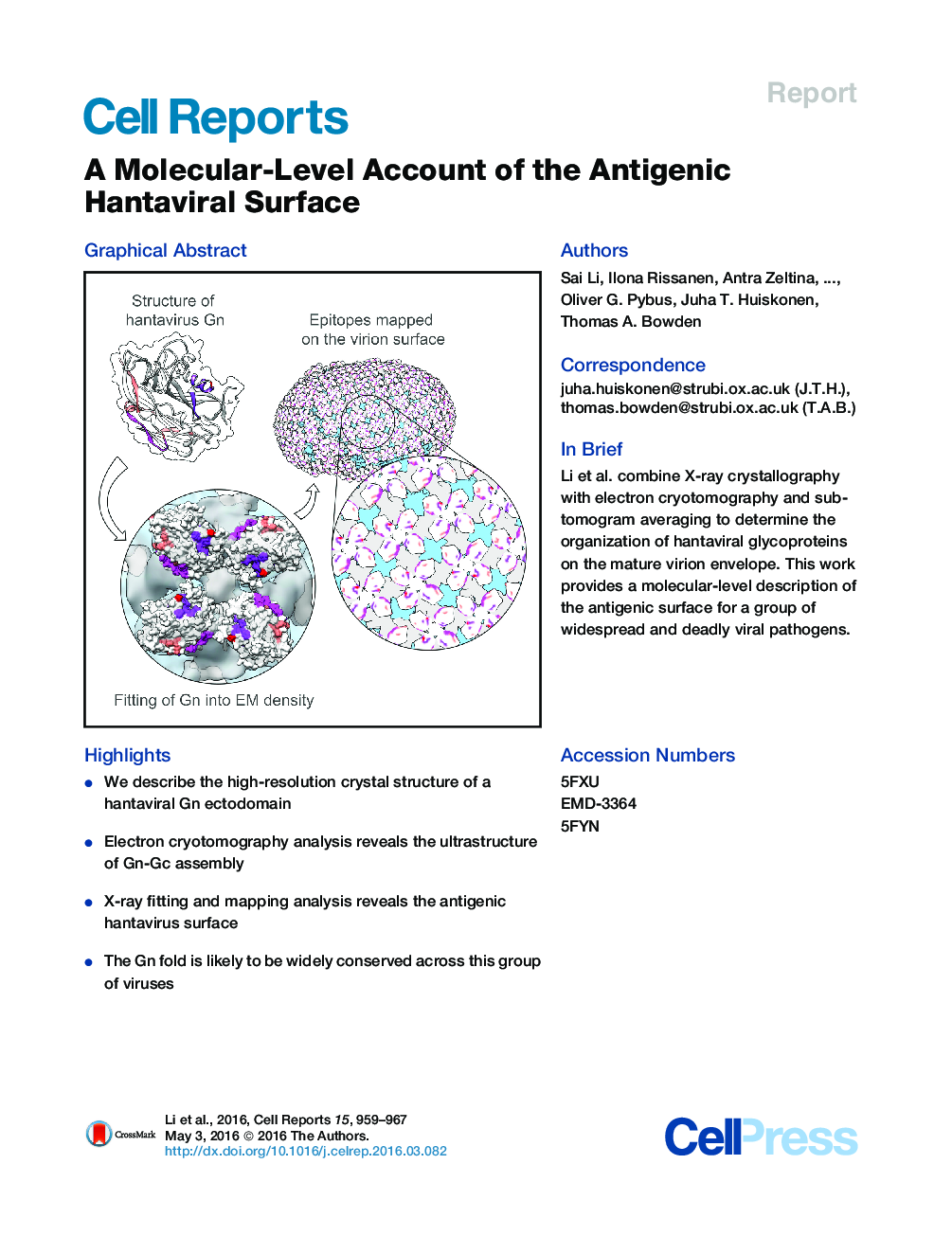 A Molecular-Level Account of the Antigenic Hantaviral Surface