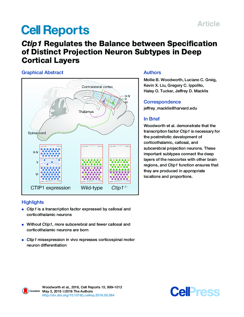 Ctip1 Regulates the Balance between Specification of Distinct Projection Neuron Subtypes in Deep Cortical Layers