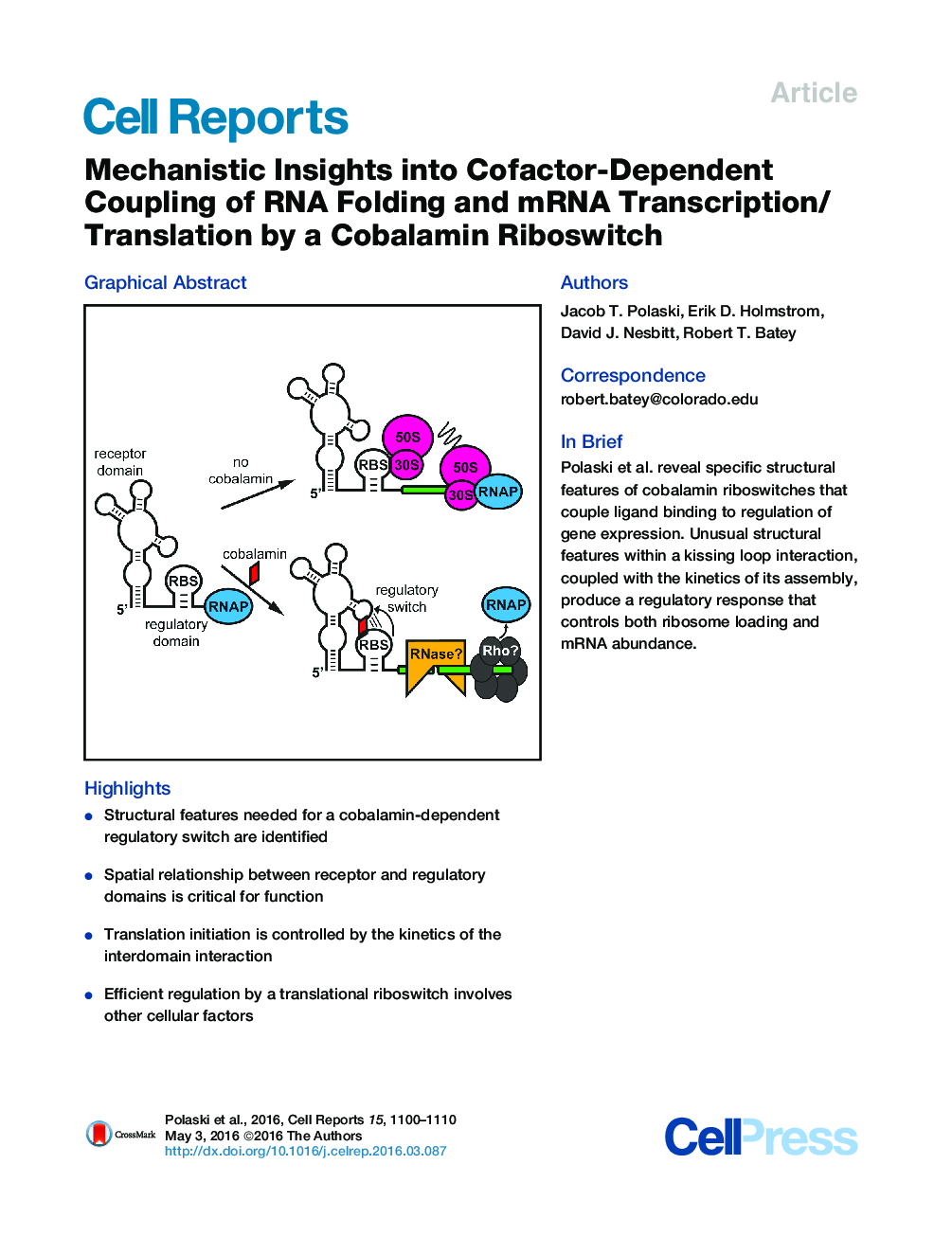 Mechanistic Insights into Cofactor-Dependent Coupling of RNA Folding and mRNA Transcription/Translation by a Cobalamin Riboswitch