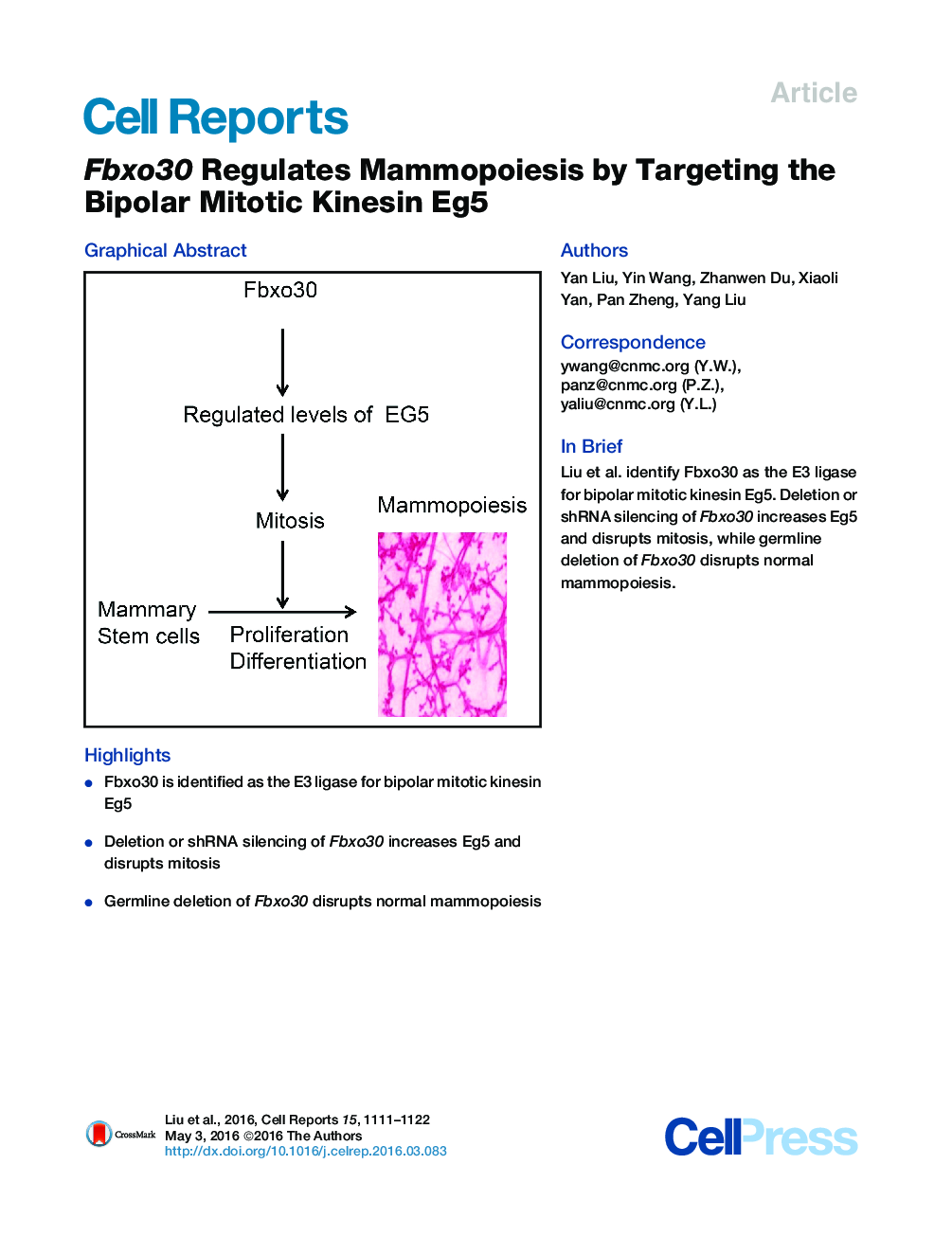 Fbxo30 Regulates Mammopoiesis by Targeting the Bipolar Mitotic Kinesin Eg5