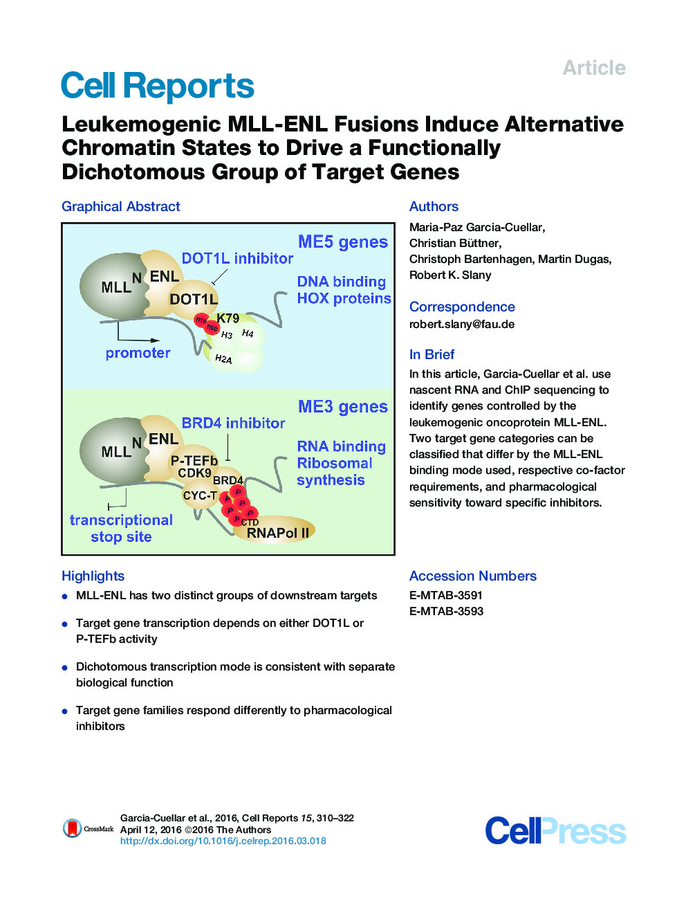 Leukemogenic MLL-ENL Fusions Induce Alternative Chromatin States to Drive a Functionally Dichotomous Group of Target Genes