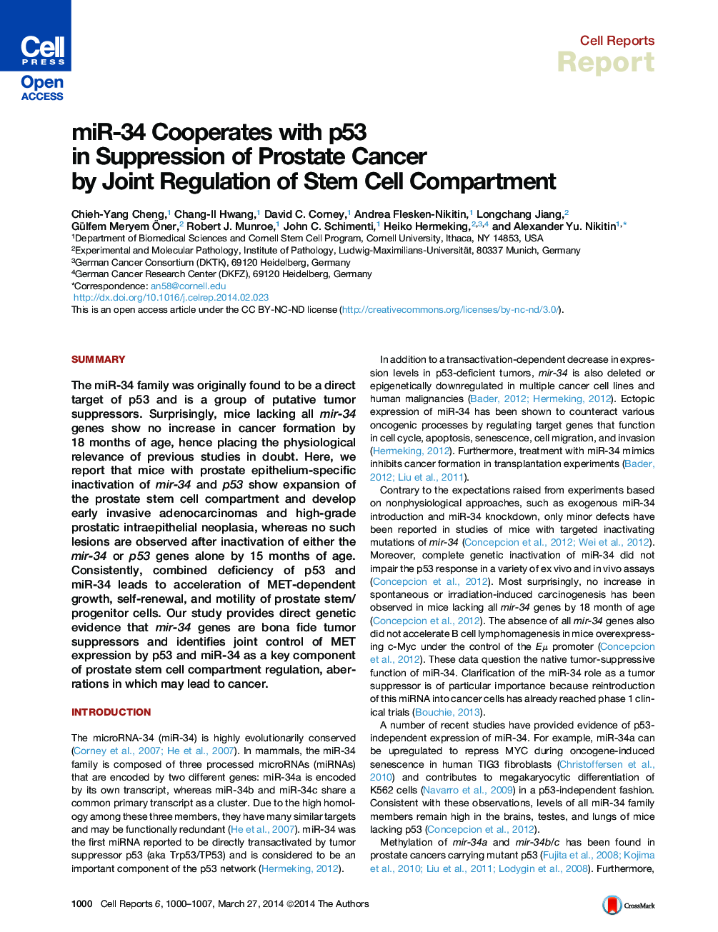 miR-34 Cooperates with p53 in Suppression of Prostate Cancer by Joint Regulation of Stem Cell Compartment 