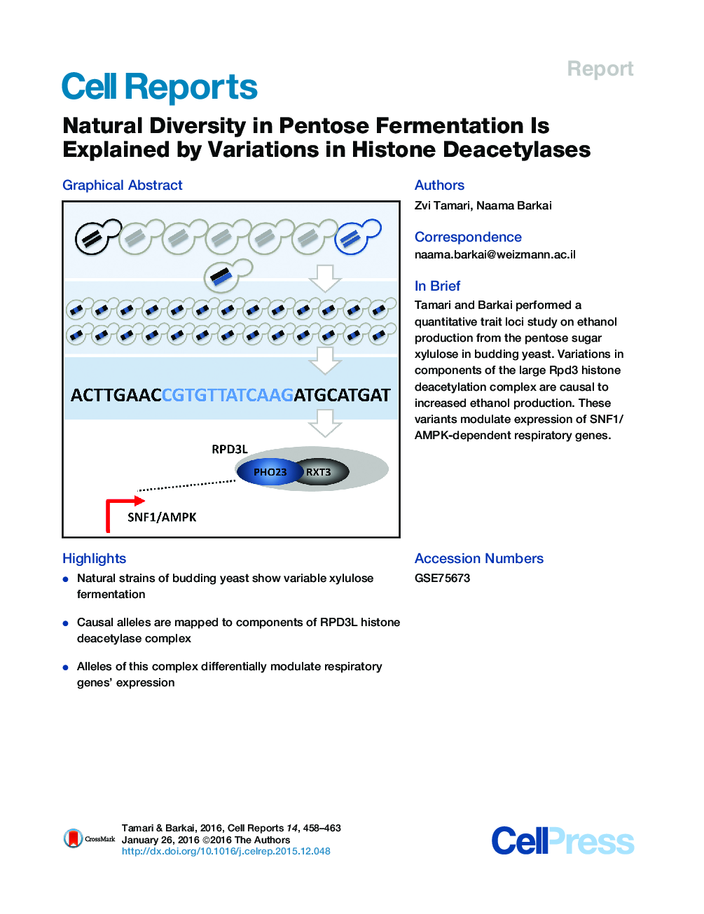Natural Diversity in Pentose Fermentation Is Explained by Variations in Histone Deacetylases 